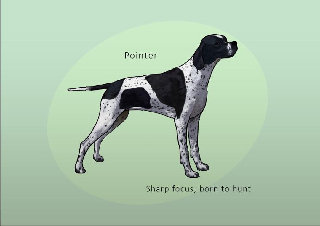 English Pointer Poster Printable, Dog Wall Art - Etsy