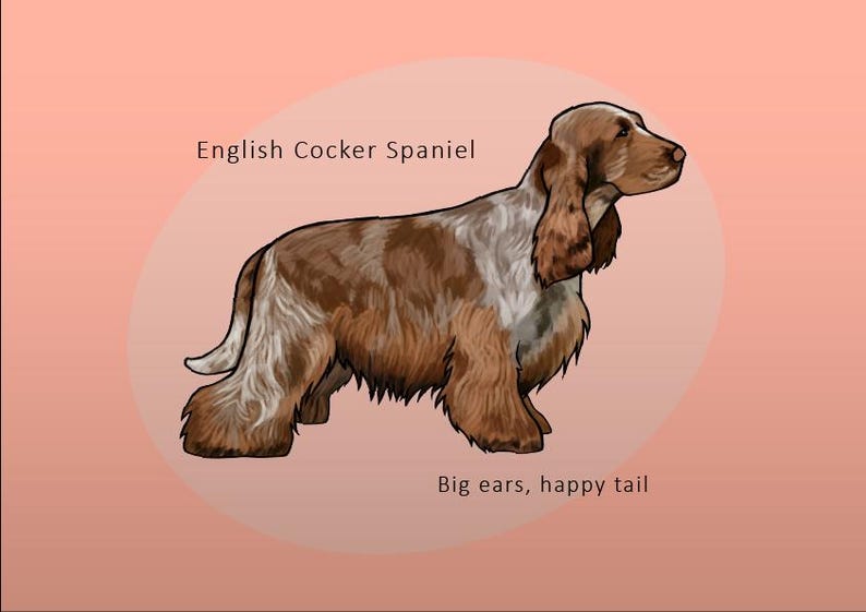 English Cocker Spaniel Poster Printable, Dog Wall Art - Etsy