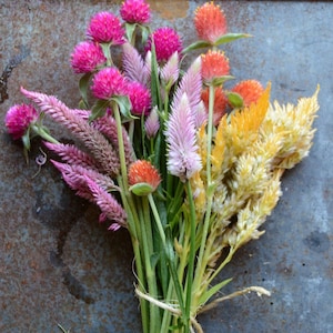 5 Flower Seed Varieties, Easy to Grow Flowers for Cut Flower Gardens and Dried Flowers, Gomphrena Seeds and Celosia Seeds