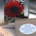 Heirloom Flower Seeds, Gardening Gift Box, Poppy Seeds, Heirloom Zinnias, Non GMO Flower Seeds, Great Gift for Mom, Cut Flower Garden Seeds