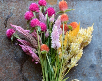 5 Flower Seed Varieties, Easy to Grow Flowers for Cut Flower Gardens and Dried Flowers, Gomphrena Seeds and Celosia Seeds