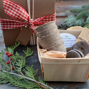 Herb Garden Gift Set, Culinary Herb Seeds and Garden Supplies in Gift Box