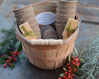 Ladies Gardening Gift Ideas