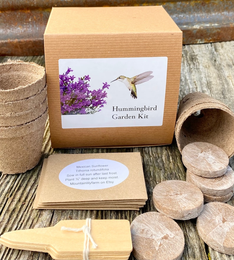 Hummingbird Garden Gift Set, Grow Your Own Hummingbird Garden, Gift for Gardener image 5