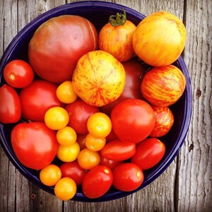Heirloom tomato seeds are included in the vegetable garden gift basket.