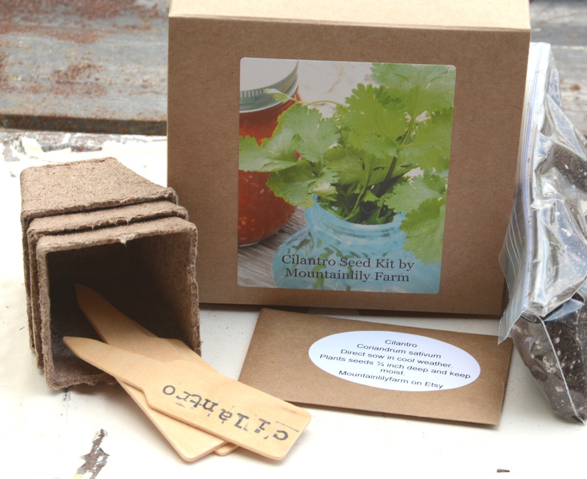 Indoor Herb Gardening Cilantro Garden Set DIY Plant Kit Etsy