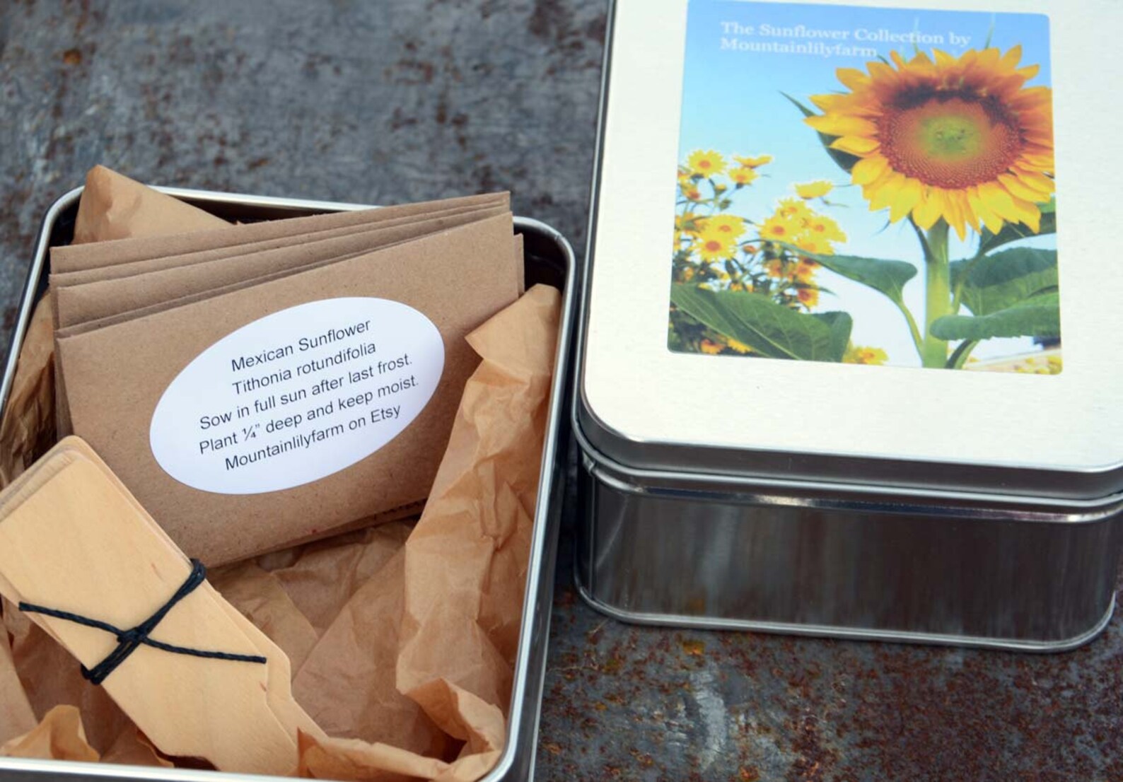 Sunflower Seed Collection in Gift Box Easy to Grow Annual Etsy