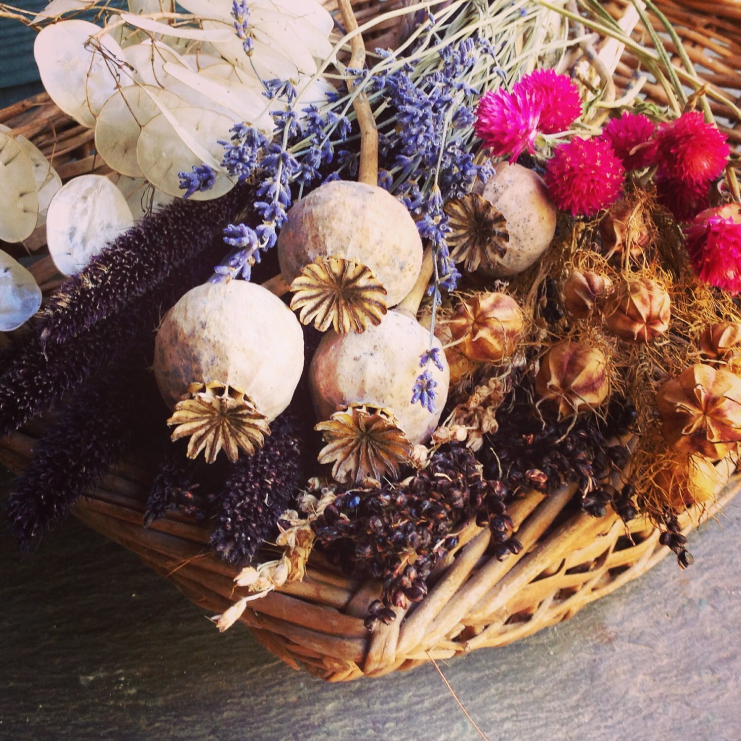 Dried Flower Seed Kit DIY Garden Kit 7 Flower Seed Varieties Etsy