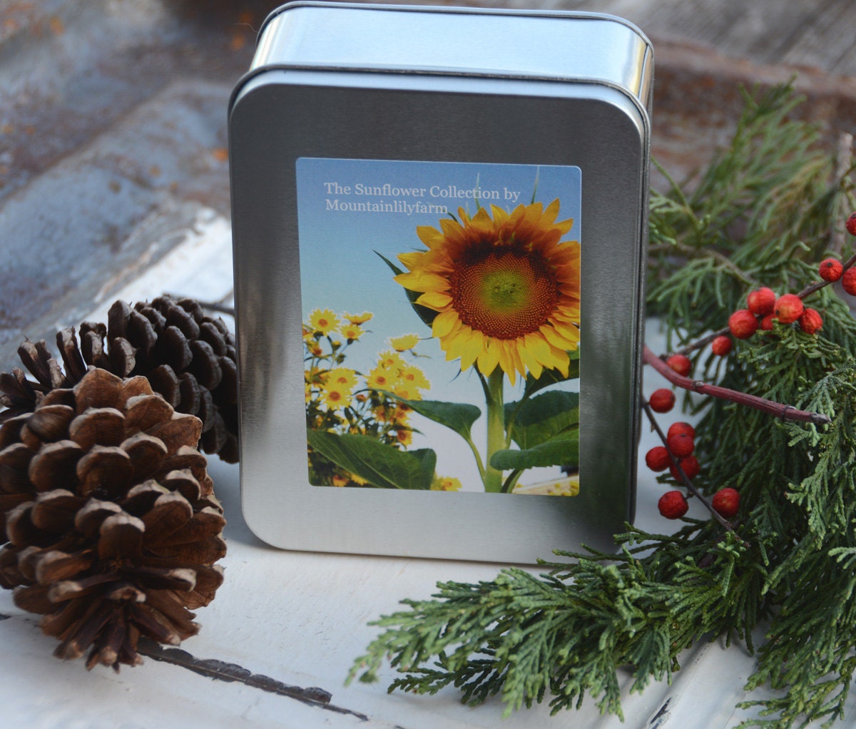 Sunflower Seed Kit Heirloom Sunflower Garden Kit Seeds and Etsy