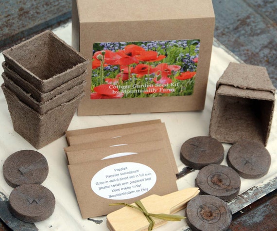 Cottage Garden Kit Flower Garden Seeds Diy Plant Kit Great Etsy