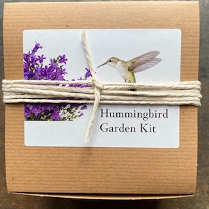 Hummingbird Garden Gift Set, Grow Your Own Hummingbird Garden, Gift for Gardener image 4