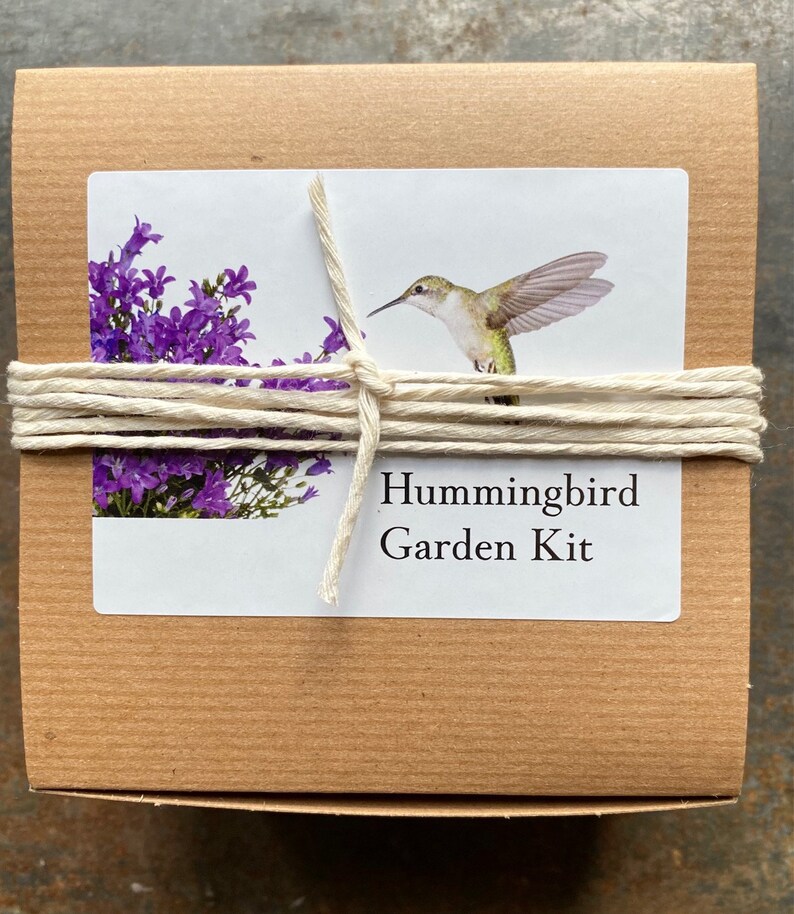 Hummingbird Garden Gift Set, Grow Your Own Hummingbird Garden, Gift for Gardener image 4