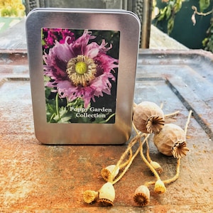Poppy Garden Seeds, Poppy Seed Kit with 6 Varieties of Heirloom Poppies