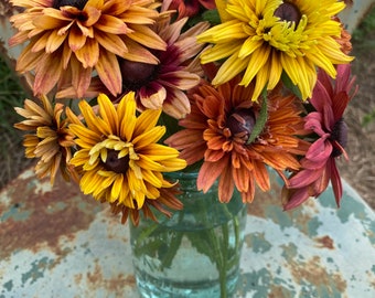 Sahara Black Eye Susan, 45 Seeds Rudbeckia Sahara