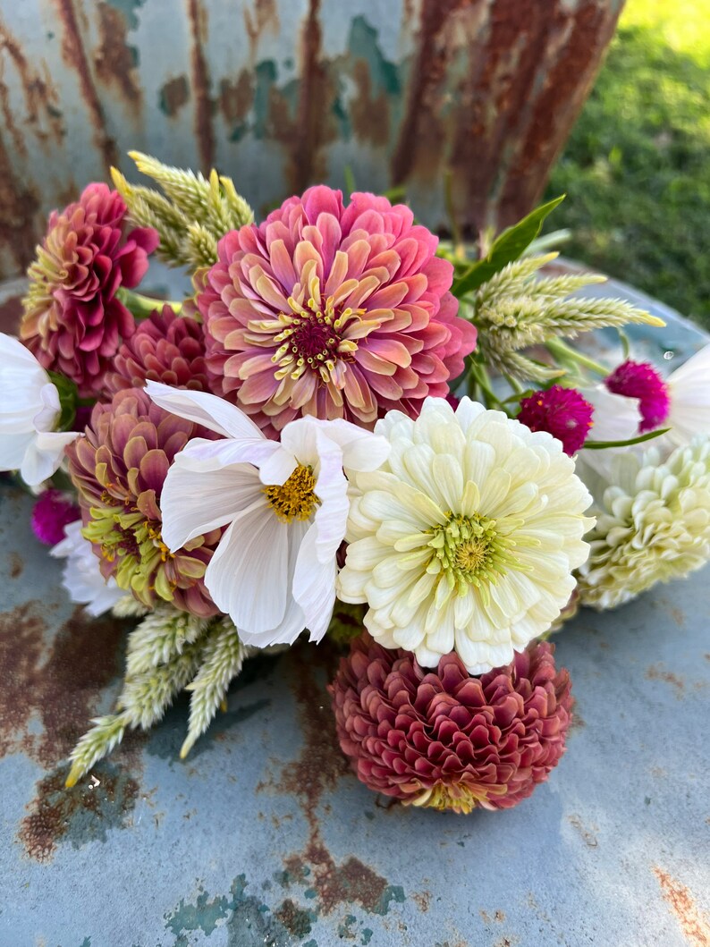 Flower Garden Seed Collection 5 Seed Varieties for Cut Flower Etsy