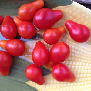 Red Pear Cherry Tomato Seeds, 25 Seeds for Easy to Grow Cherry Tomatoes