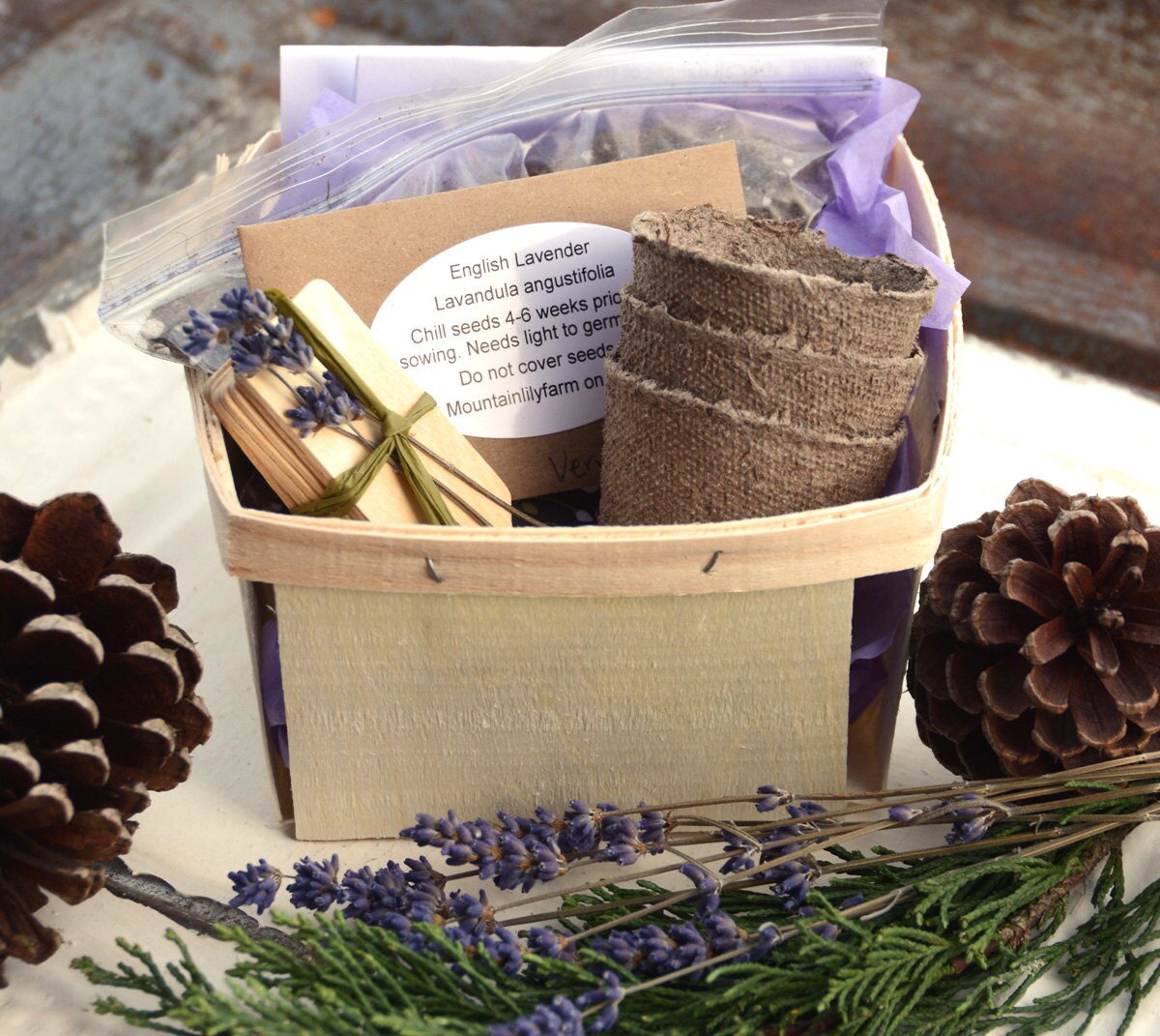 Lavender Plant Kit English Lavender Seeds in Gift Basket - Etsy