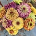 see more listings in the Zinnia Seeds section