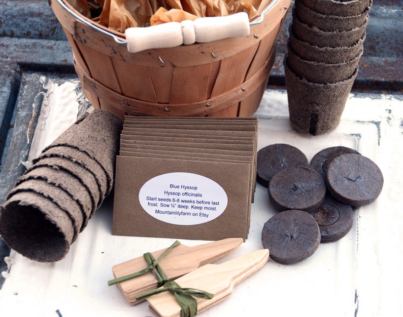 Herb Garden Gift Basket Heirloom Seeds in Harvest Basket Etsy