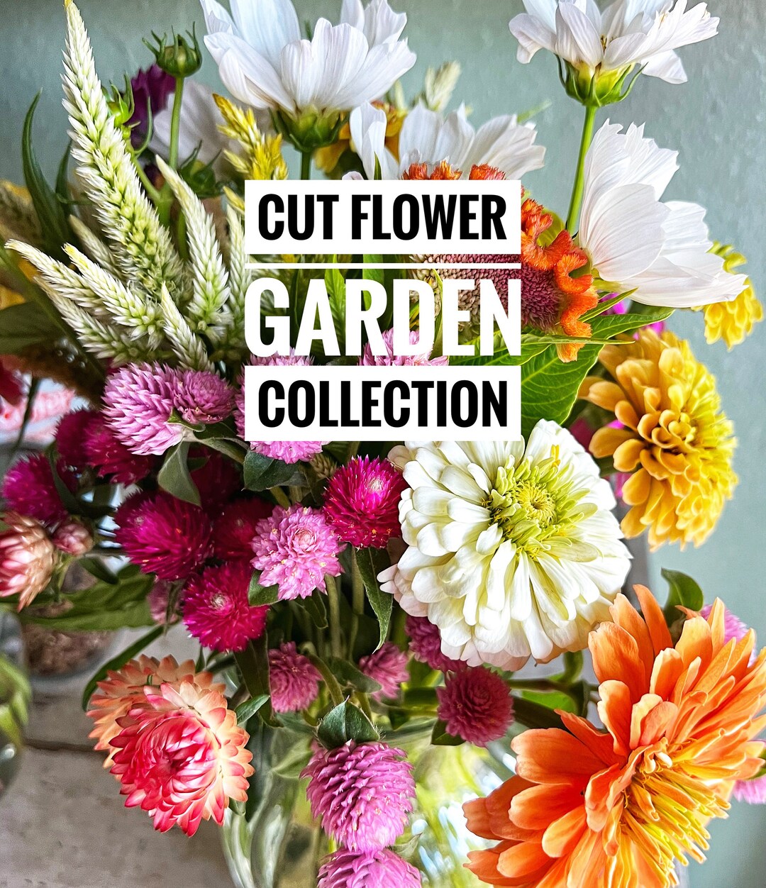 Cut Flower Seed Collection, 10 Seed Varieties for Cut Flowers, Great