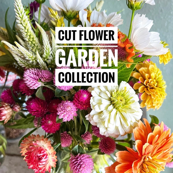 Cut Flower Seed Collection, 10 Seed Varieties for Cut Flowers, Great for Flower Farmers