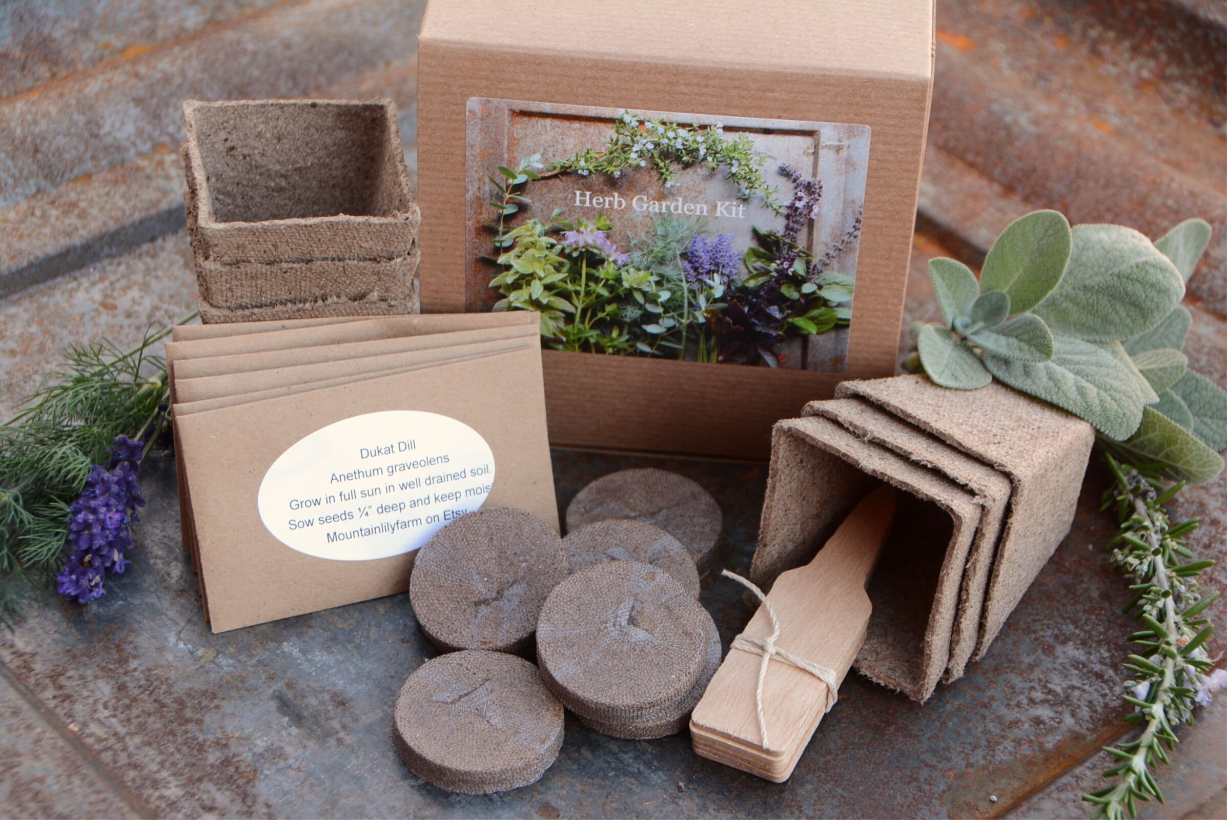 Herb Garden Kit Indoor Herb Garden Great Gift for Gardener Etsy