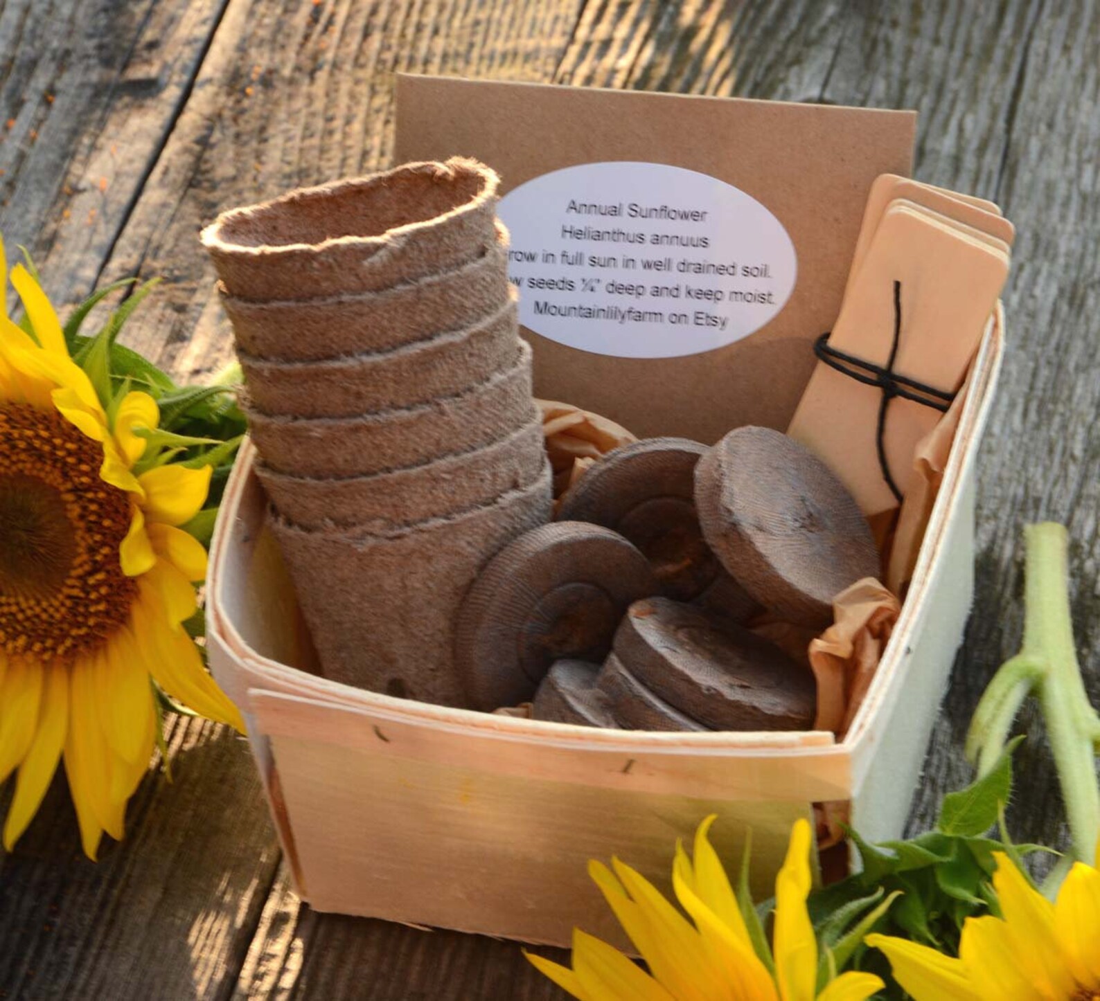 Sunflower Seed Kit Heirloom Sunflowers DIY Garden Kit Great Etsy