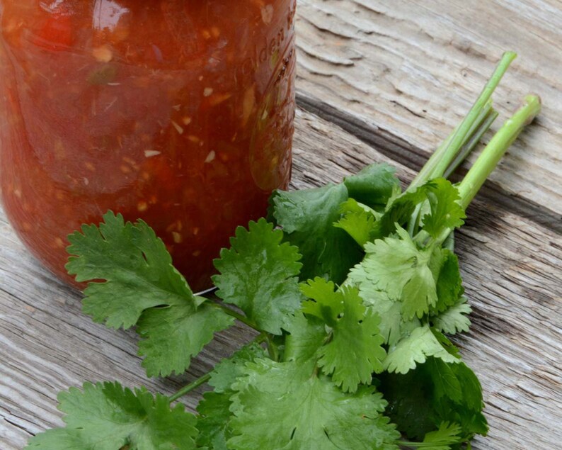 Cilantro is great in home made salsa and picante