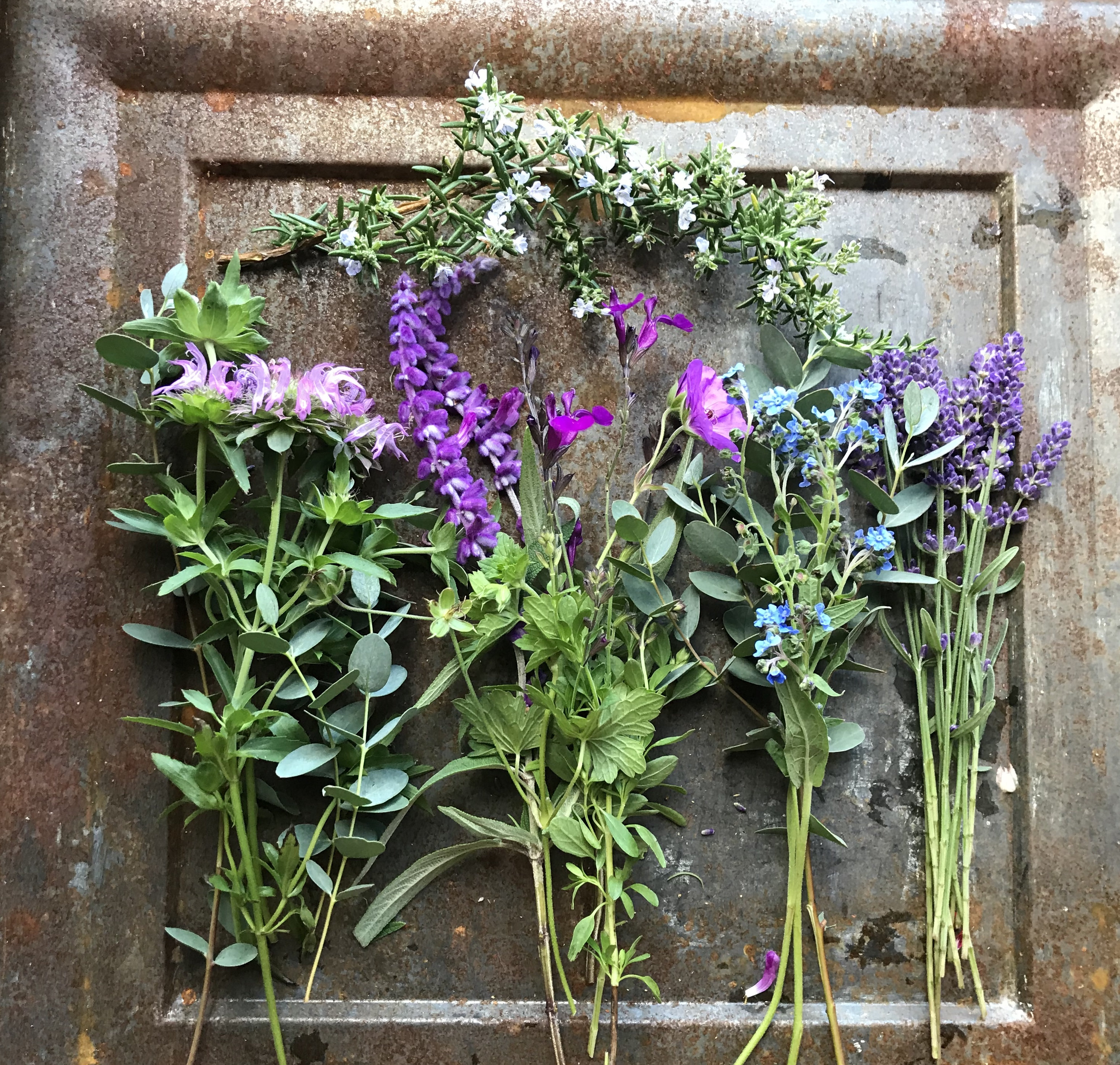 Herb Garden Seed Collection: 12 Culinary & Aromatic Varieties - Etsy