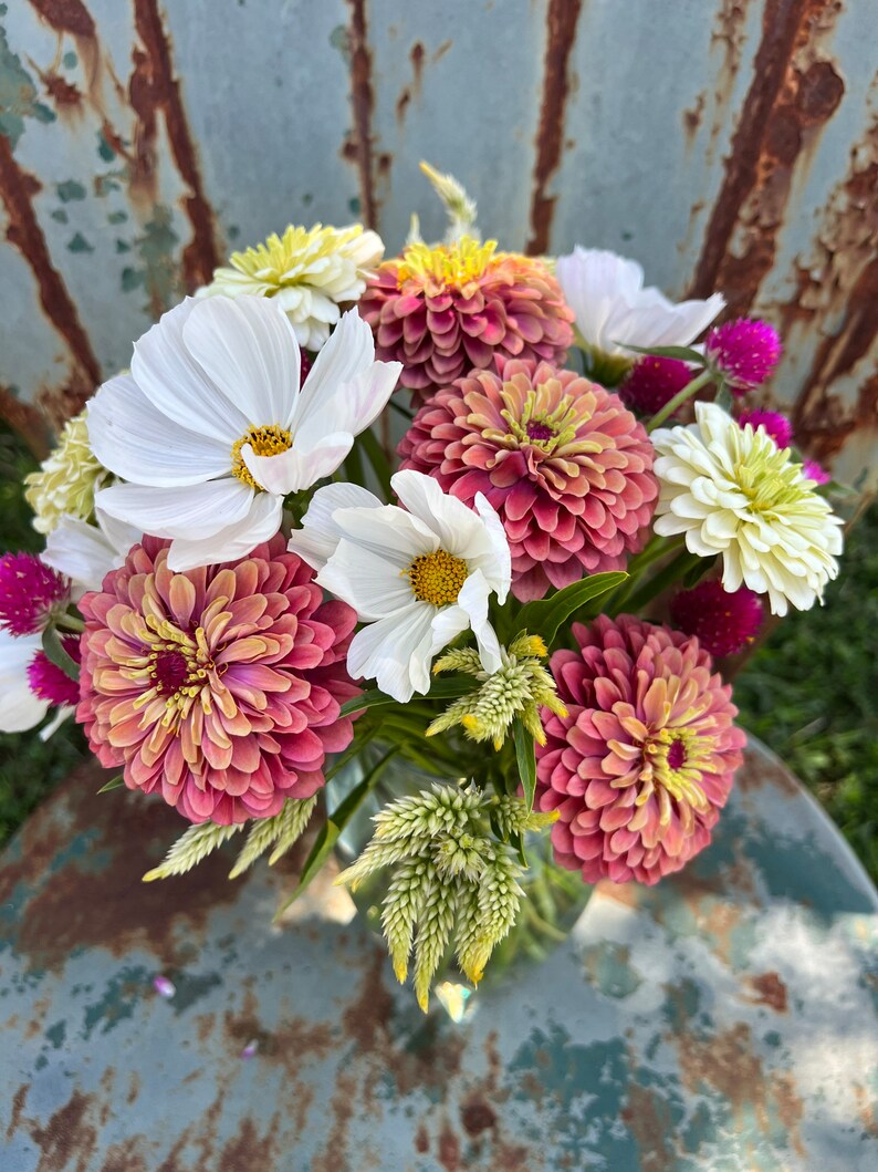 Flower Garden Seed Collection 5 Seed Varieties for Cut Flower Etsy