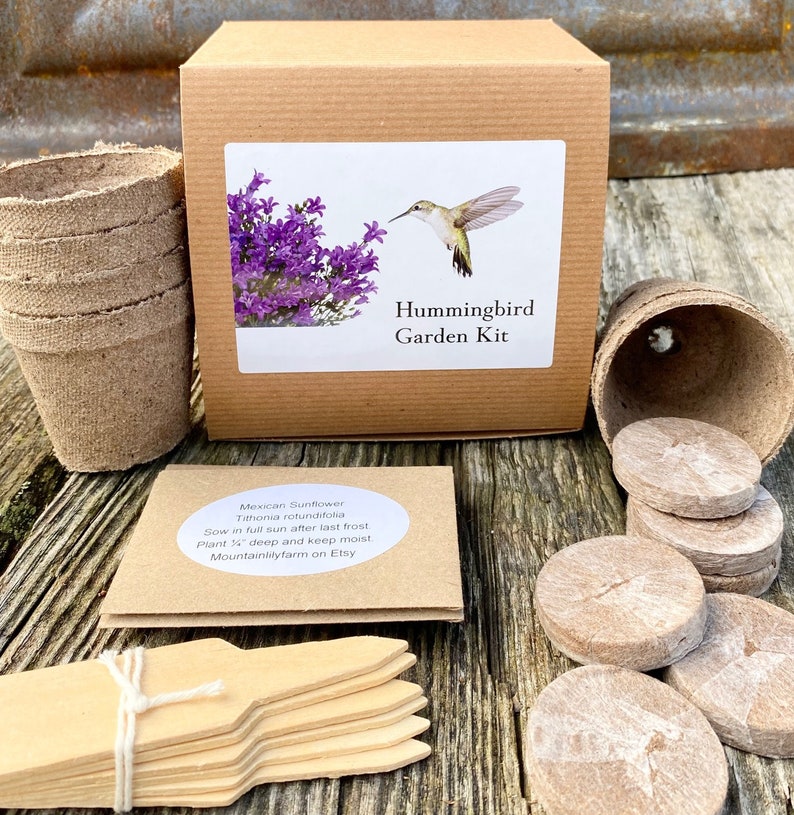 Hummingbird Garden Gift Set, Grow Your Own Hummingbird Garden, Gift for Gardener No Gift Box