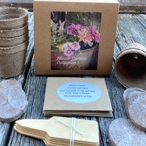 Cut Flower Garden Kit, Easy to Grow Summer Flower Seeds, Great for Pollinator Gardens image 8