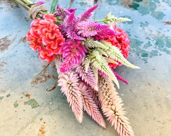 May include: A bouquet of pink, white, and orange flowers. The flowers are arranged in a bunch and tied together with twine. The flowers are on a blue and green background.