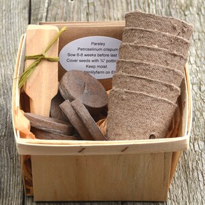 Herb Garden Kit, Easy to Grow Herb Garden, Great Gift for Gardener or Housewarming Gift image 6