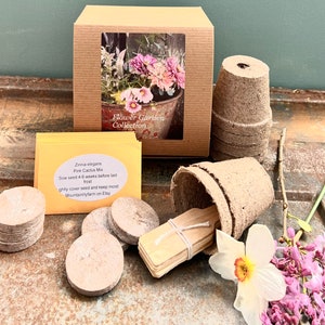 Cut Flower Garden Kit, Easy to Grow Summer Flower Seeds, Great for Pollinator Gardens