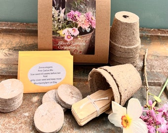 Cut Flower Garden Kit, Easy to Grow Annual Flower Seeds for Cut Flowers