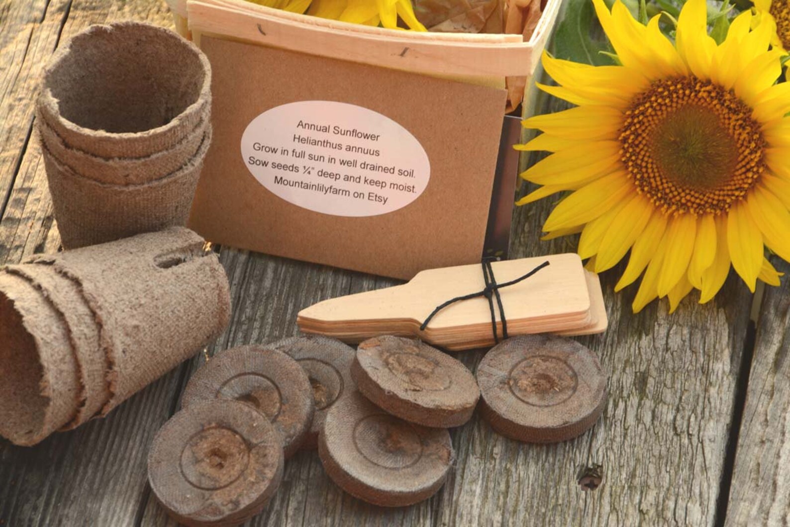 Sunflower Seed Kit Heirloom Sunflowers DIY Garden Kit Great Etsy