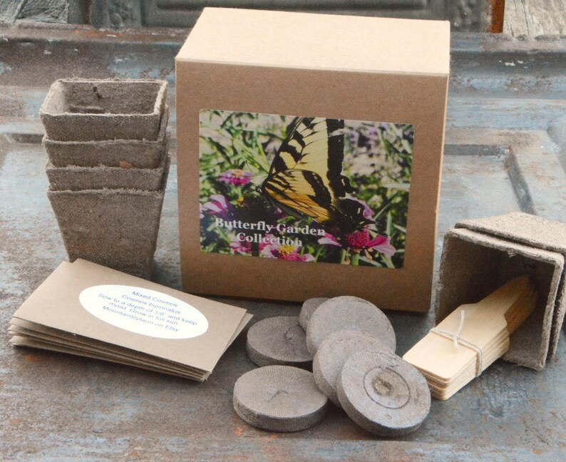 Butterfly Garden Kit Butterfly Plant Seeds and Garden Etsy