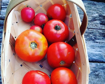 Brandywine Tomato Seeds, Heirloom Tomato Seeds, Large Beefsteak Tomatoes, Great for Salsa Gardens and Container Gardens