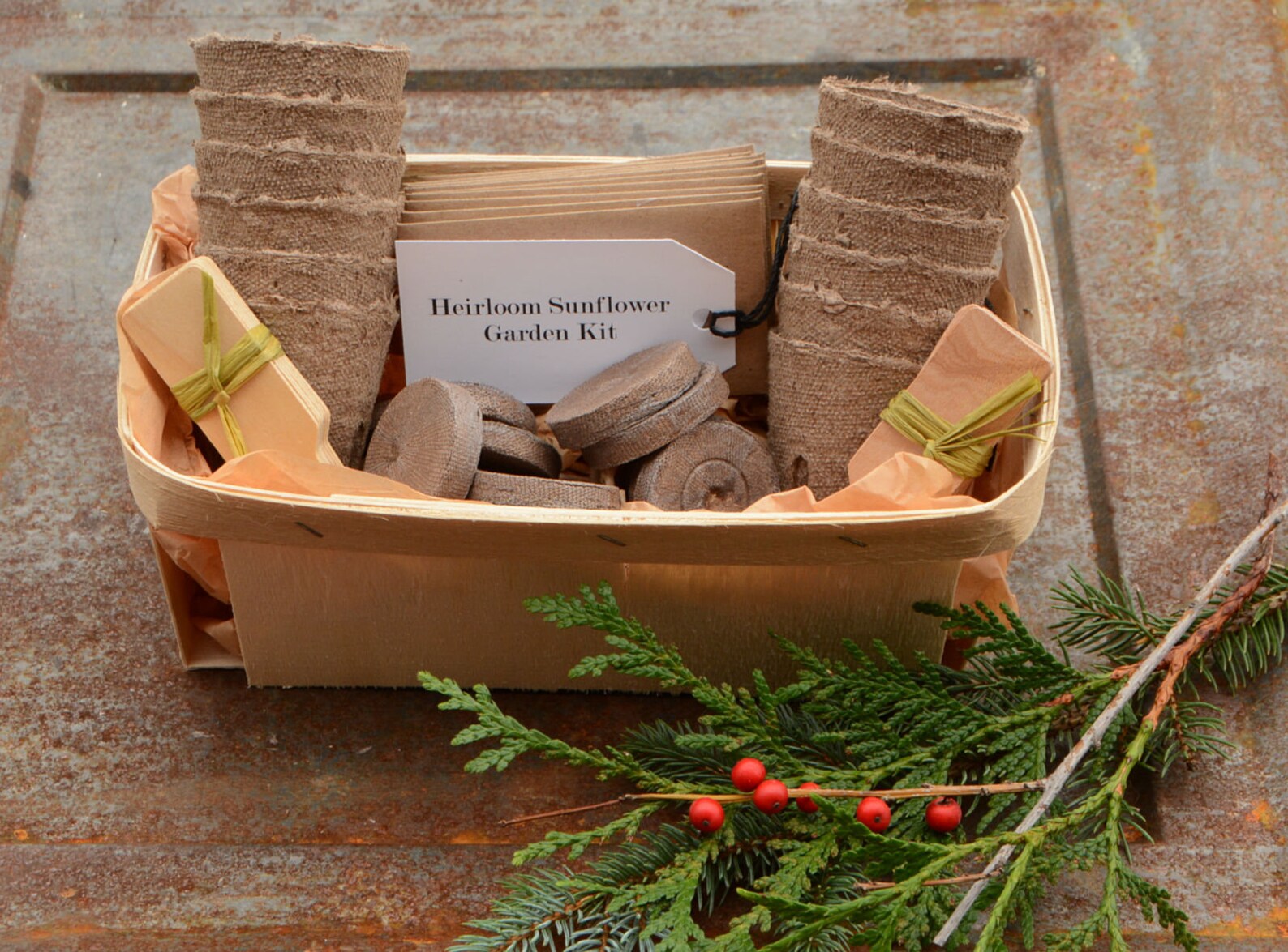 Sunflower Garden Kit Heirloom Sunflower Seeds in DIY Garden Etsy