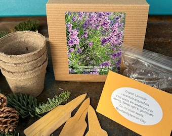 Kit de jardín de lavanda, semillas de lavanda orgánica y suministros de jardinería