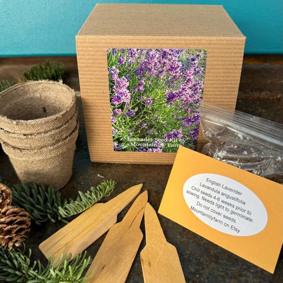 planting astilbe seeds Visions Astilbe main image 0