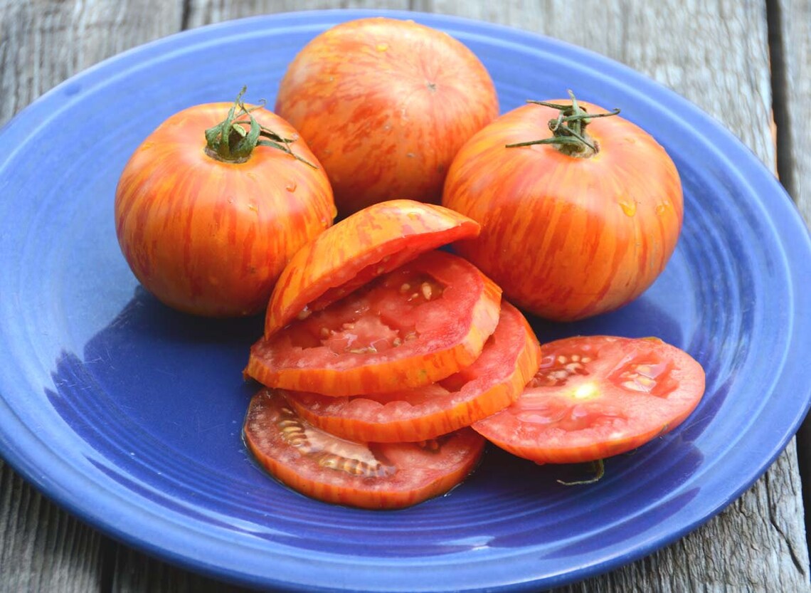 Red Zebra Tomato Seeds Heirloom Tomatoes Open Pollinated Etsy