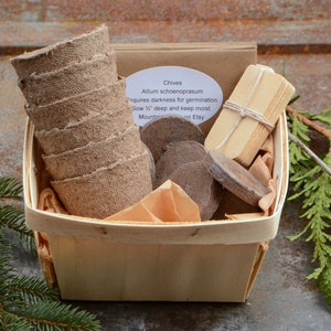 Herb Garden Kit, Easy to Grow Herb Garden, Great Gift for Gardener or Housewarming Gift image 4