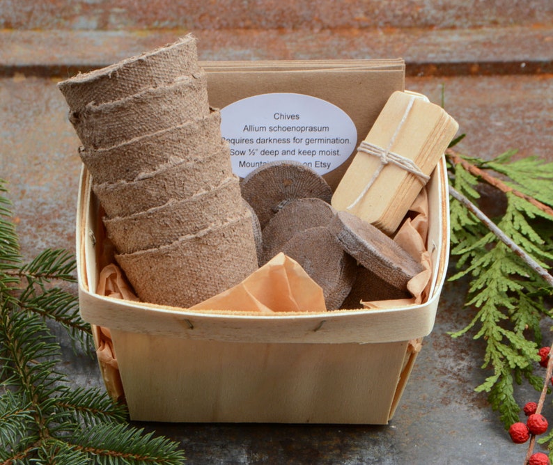 Herb Garden Kit, Easy to Grow Herb Garden, Great Gift for Gardener or Housewarming Gift image 4