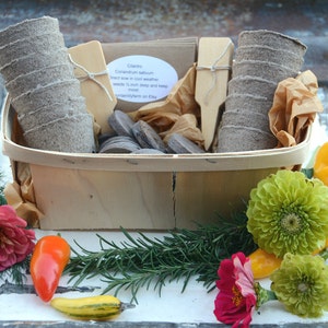 Garden Gift Basket, Heirloom Vegetable Seeds with Garden Supplies, Great Housewarming Gift image 1