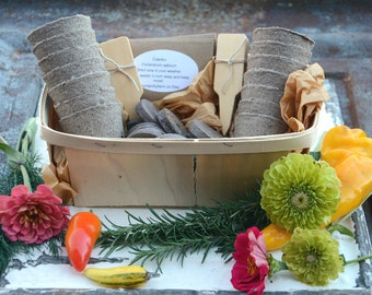 Garden Gift Basket, Heirloom Vegetable Seeds with Garden Supplies