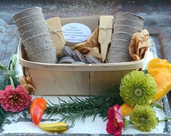 Garden Gift Basket, Heirloom Vegetable Seeds with Garden Supplies, Great Housewarming Gift