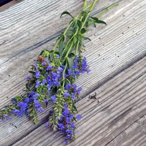 Pode incluir: Um ramo de flores roxas com caules verdes sobre uma superf&iacute;cie de madeira desgastada.