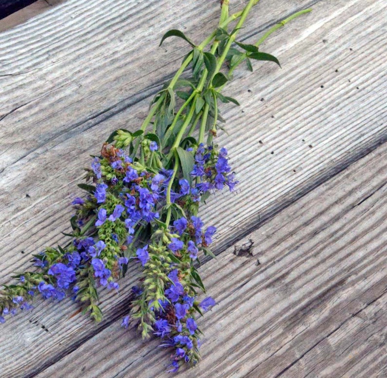 Pode incluir: Um ramo de flores roxas com caules verdes sobre uma superf&iacute;cie de madeira desgastada.